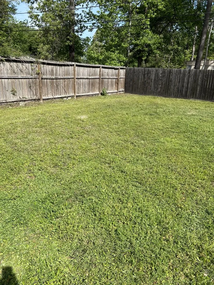 Custom yard cleanup service experts serving Magnolia, TX - M And S Handy Services