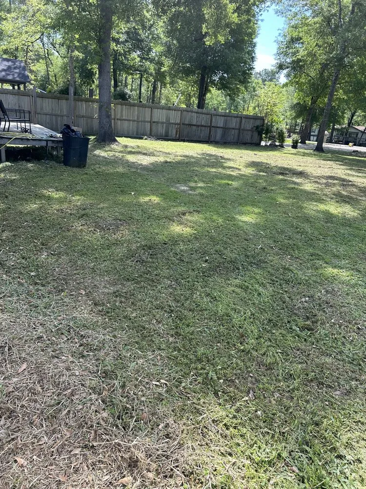 Affordable lawn mowing service in Magnolia, TX by M And S Handy Services