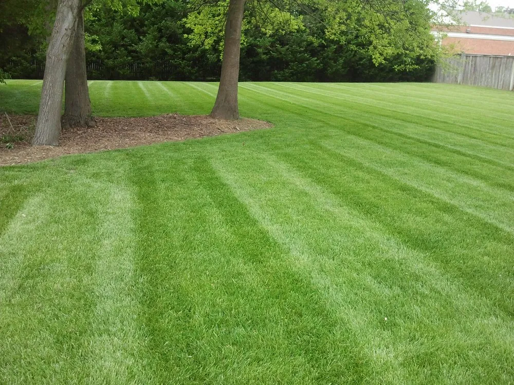 Expert residential landscaping in Flag Pond, TN - M and V