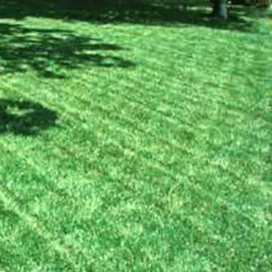 Local residential landscaping in Flag Pond, TN - M and V
