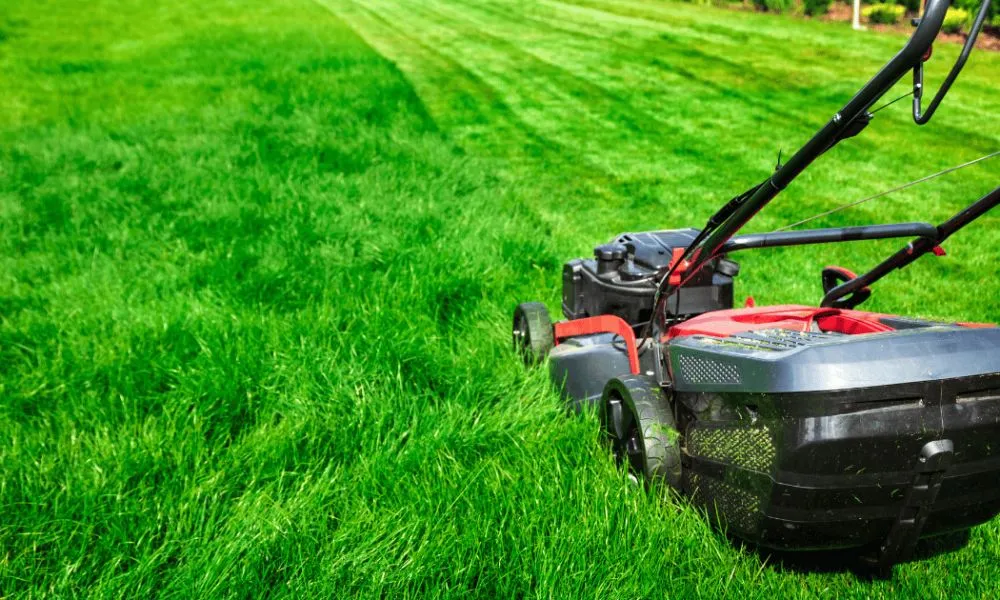 Professional yard maintenance in Flag Pond, TN - M and V
