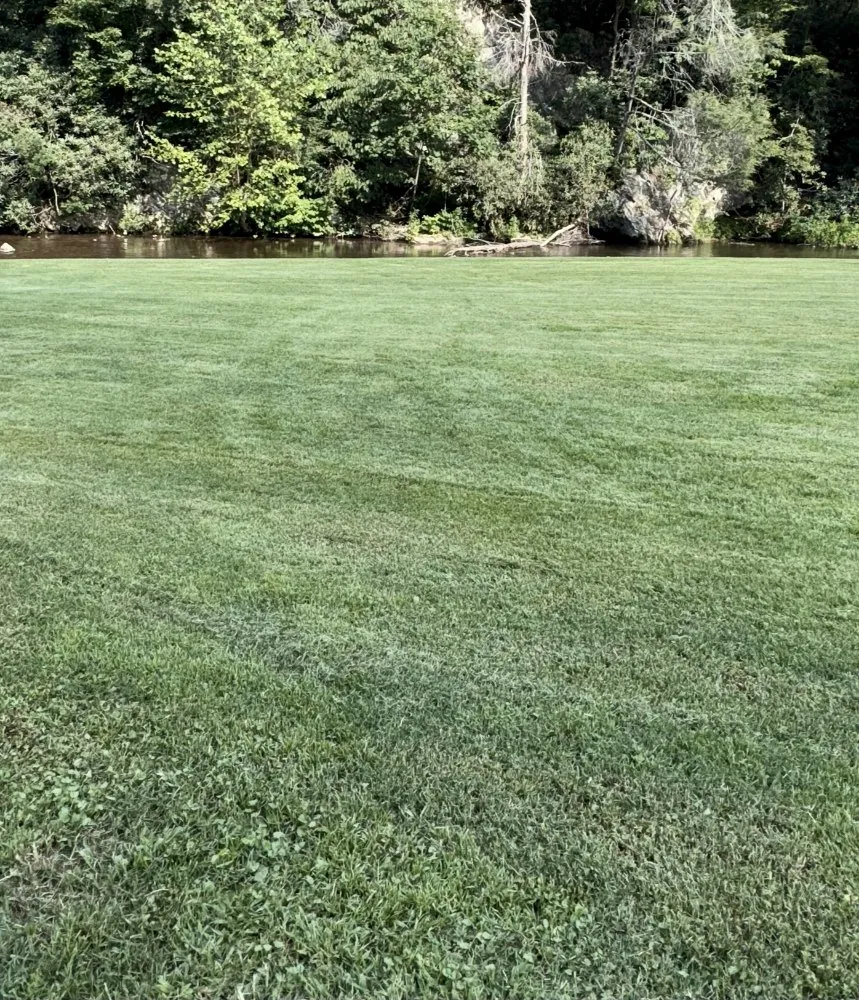 Reliable residential landscaping experts serving Flag Pond, TN - M and V