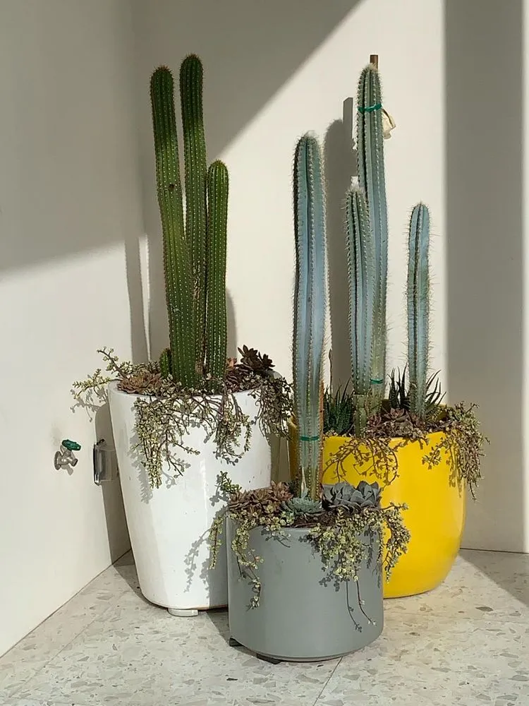 Expert landscape installation with custom design in Cathedral City, CA by M-Artscape