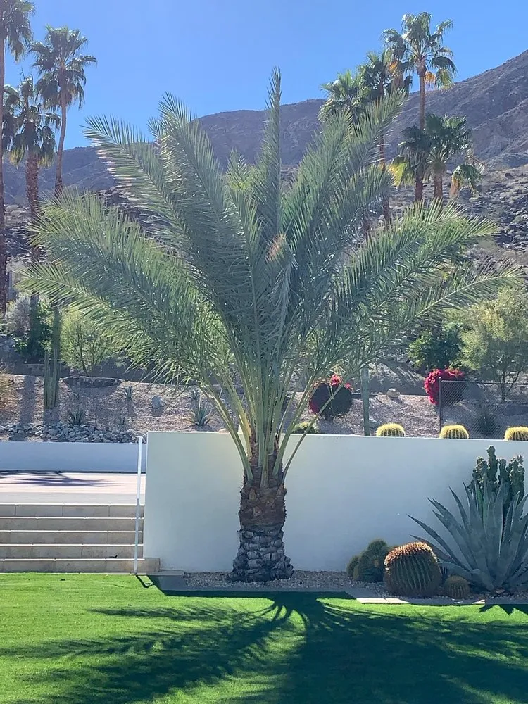 Custom landscaping services for year-round maintenance across Cathedral City, CA - M-Artscape