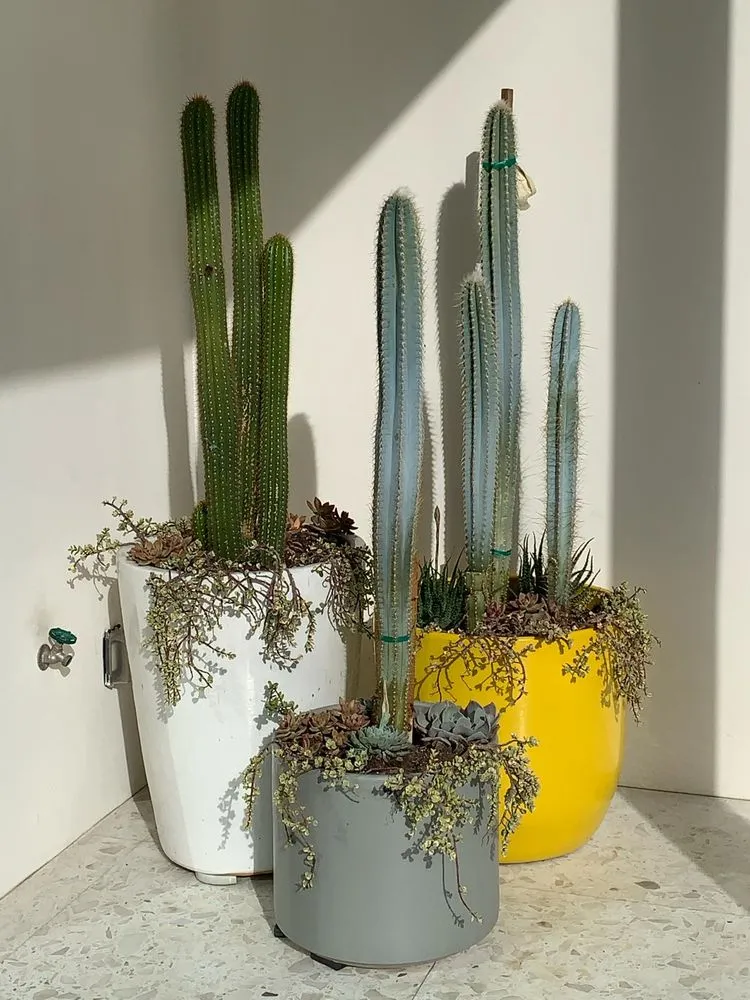 Trusted residential landscaping in Cathedral City, CA - M-Artscape