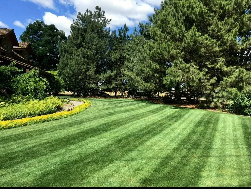 Trusted lawn mowing service for residential properties in Dayton, TX by M &B Lawn Care Services