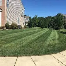 Expert landscaping services with custom design across Dayton, TX - M &B Lawn Care Services