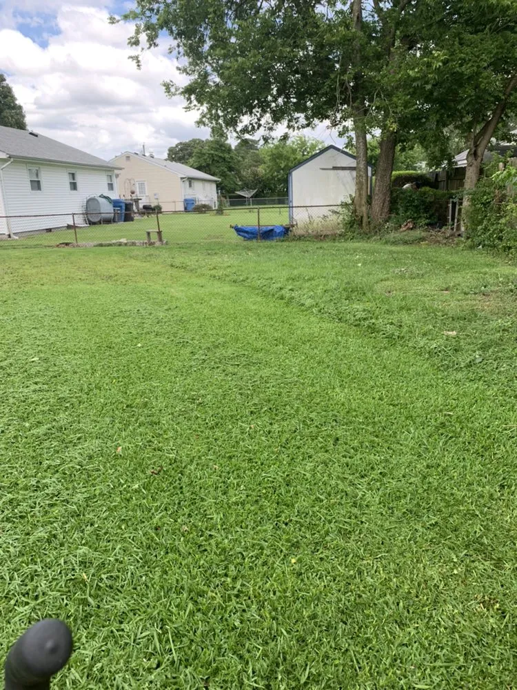 Custom landscaping services in Virginia Beach, VA - M B M Landscaping & Beyond