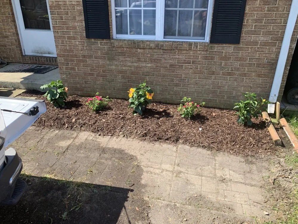 Expert yard cleanup service in Virginia Beach, VA by M B M Landscaping & Beyond