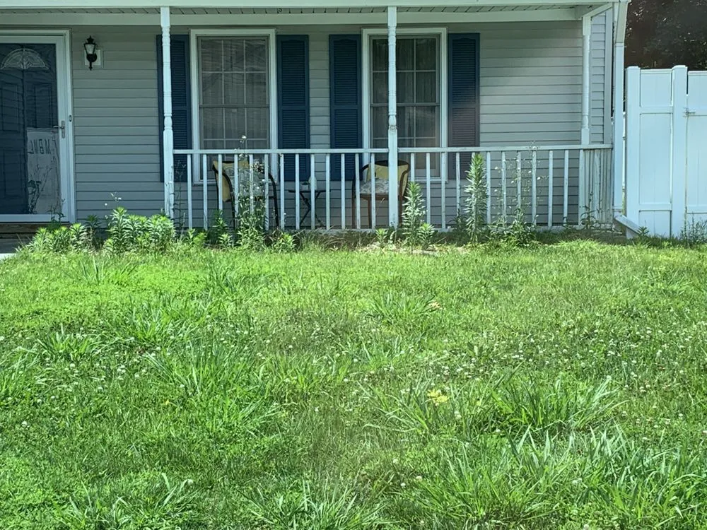 Custom yard cleanup service in Virginia Beach, VA by M B M Landscaping & Beyond