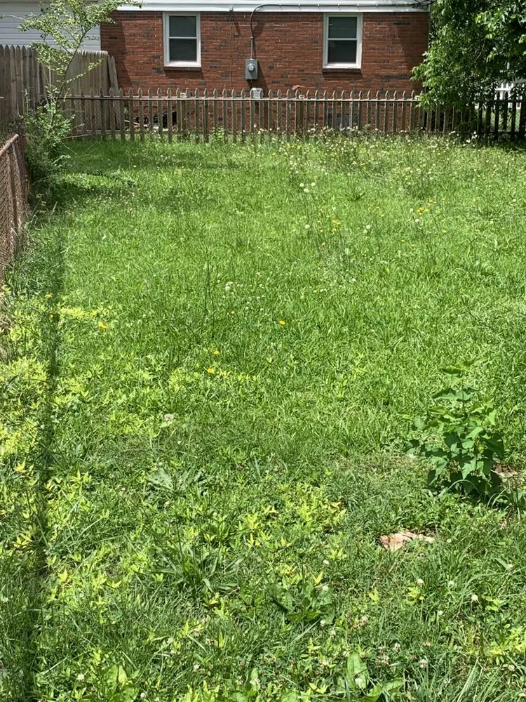 Local lawn mowing service experts serving Virginia Beach, VA - M B M Landscaping & Beyond