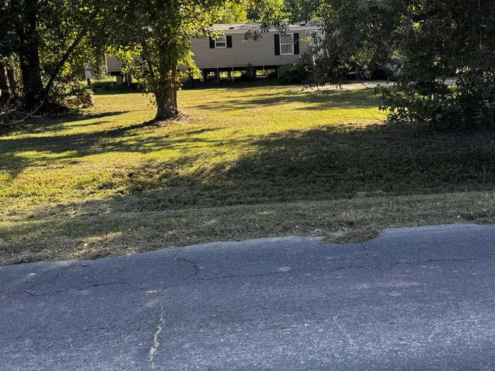 Expert yard cleanup service for outdoor upgrades across Hammond, LA - M B Mowing