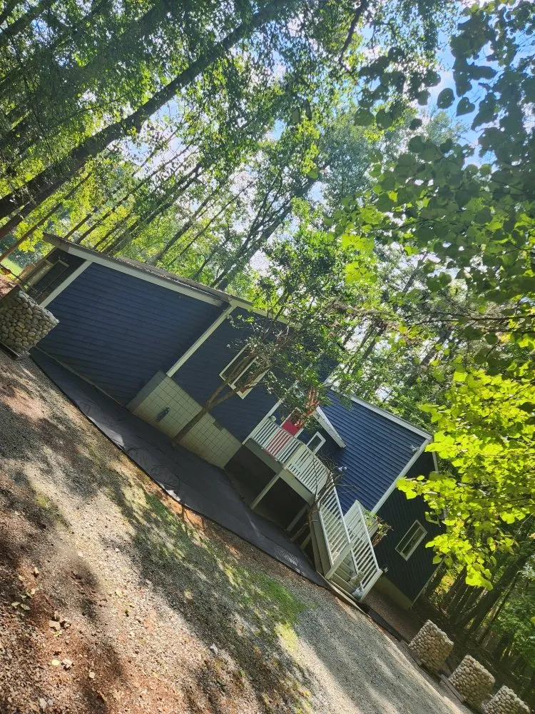 Local lawn care service for beautiful yards in Chapel Hill, NC by M Bee's