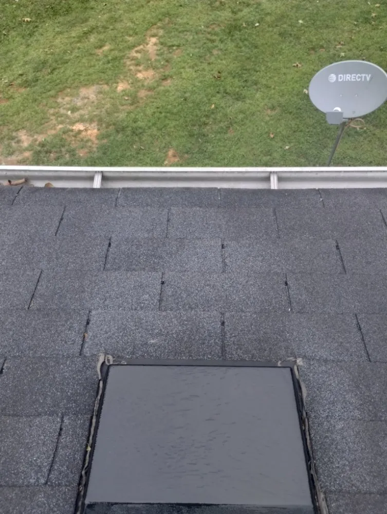 Custom garden landscaping experts serving Chapel Hill, NC - M Bee's