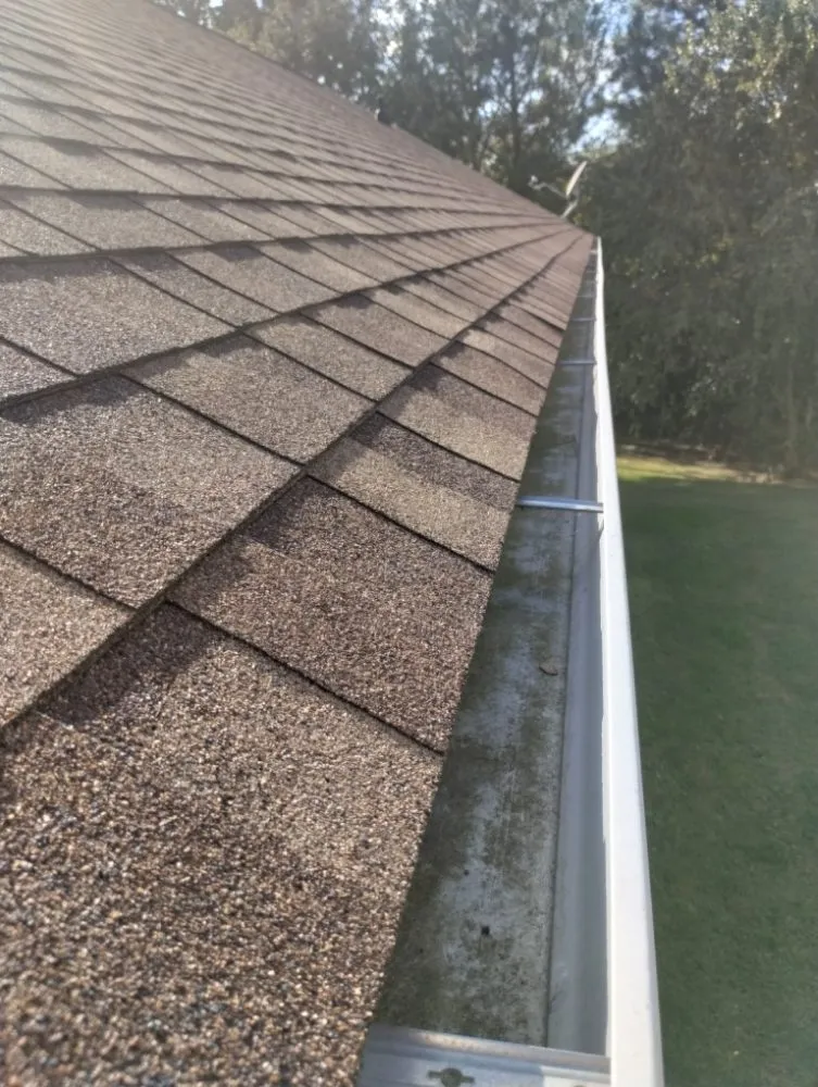 Reliable yard cleanup service with custom design in Chapel Hill, NC by M Bee's