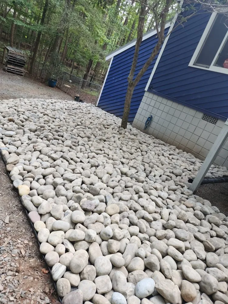 Reliable yard cleanup service for homes across Chapel Hill, NC - M Bee's