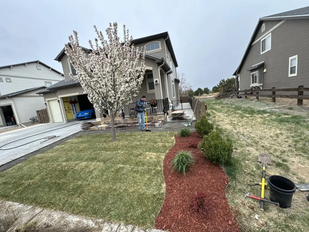 Affordable lawn care service experts serving Brighton, CO - M Brothers Services