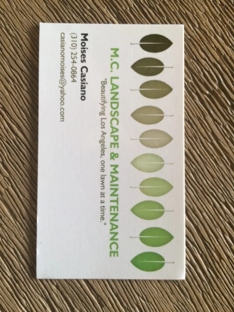 Expert yard maintenance for outdoor upgrades across Los Angeles, CA - M C Landscape & Maintenance