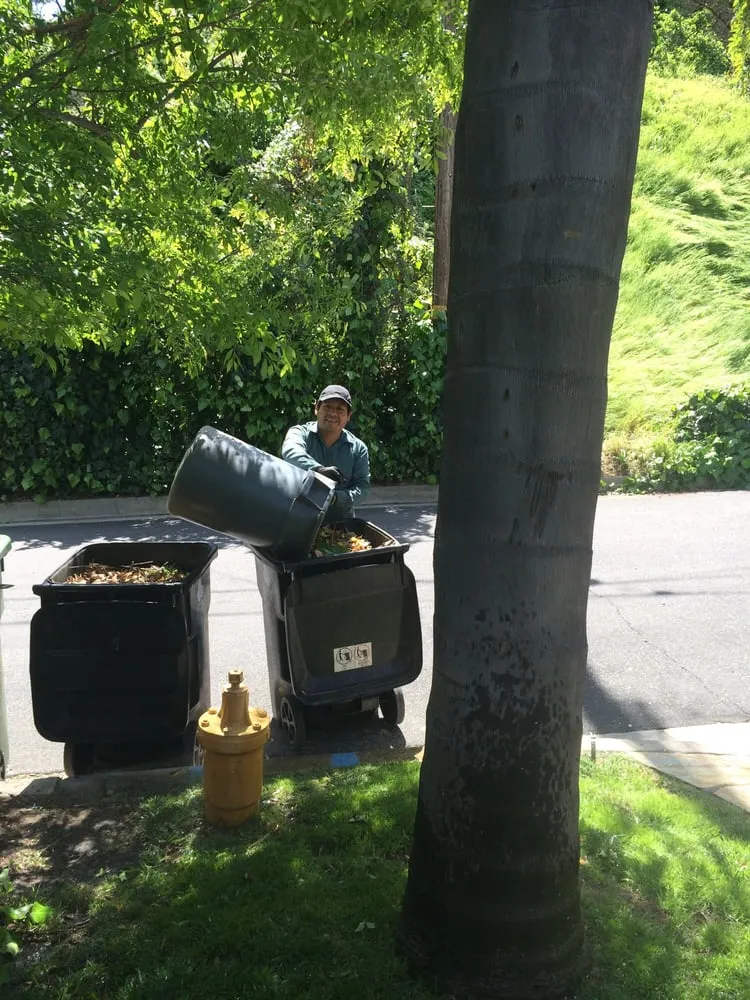 Professional lawn mowing service for year-round maintenance across Los Angeles, CA - M C Landscape & Maintenance