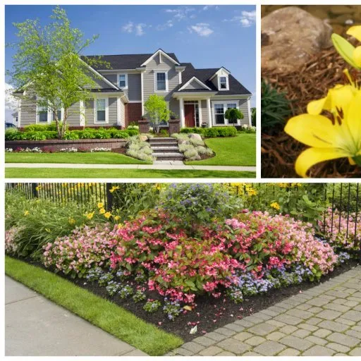 Reliable landscaping services experts serving Winter Garden, FL - M C R Lawn Services