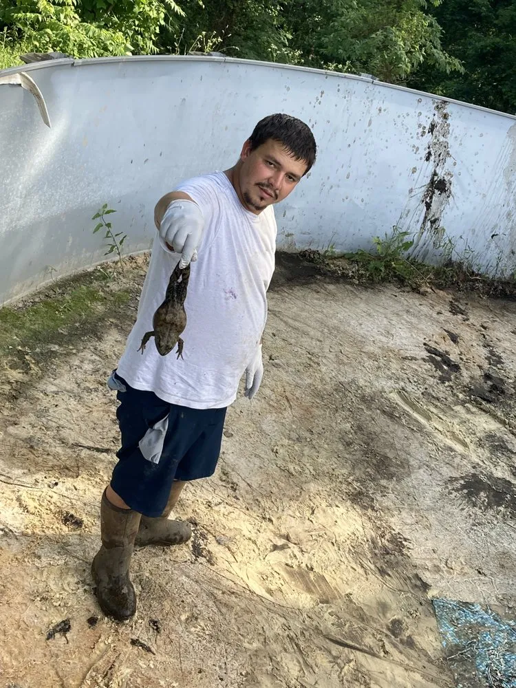 Custom lawn mowing service in Corryton, TN - M Campbell's Construction