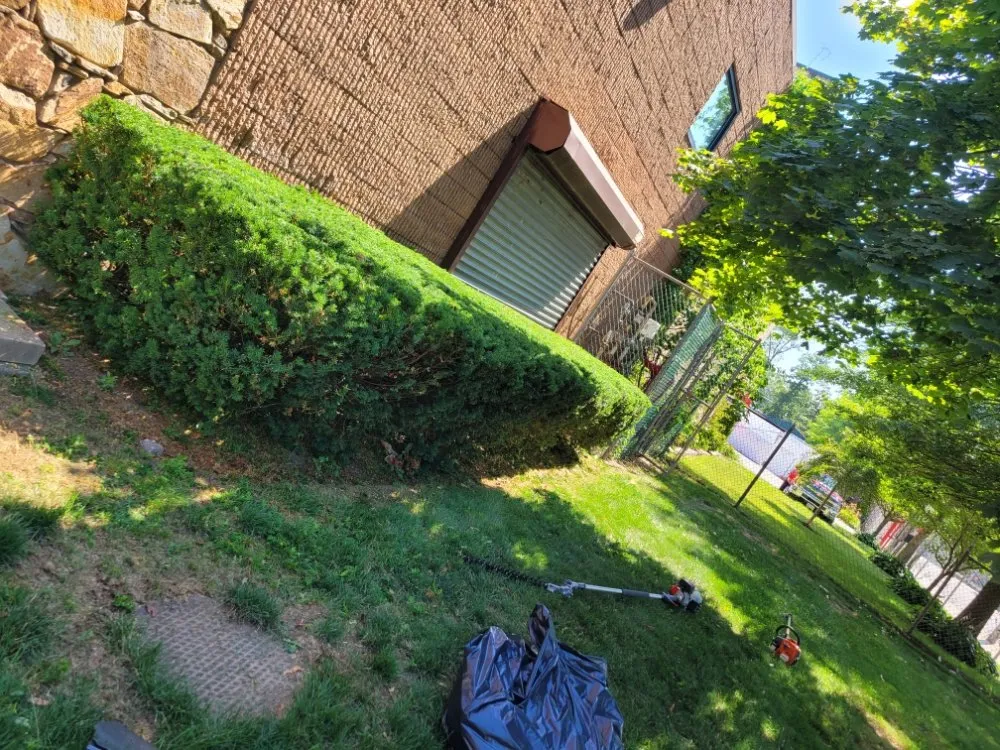 Trusted landscaping services for beautiful yards across Wyandanch, NY - M Canales Landscaping