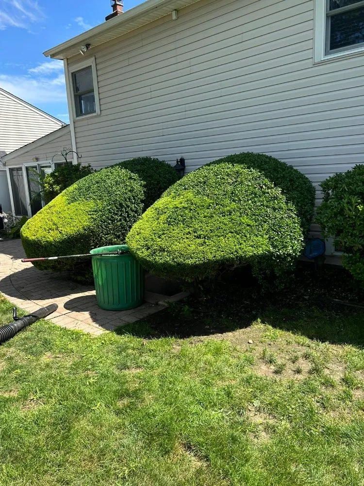 Affordable yard maintenance for homes across Wyandanch, NY - M Canales Landscaping