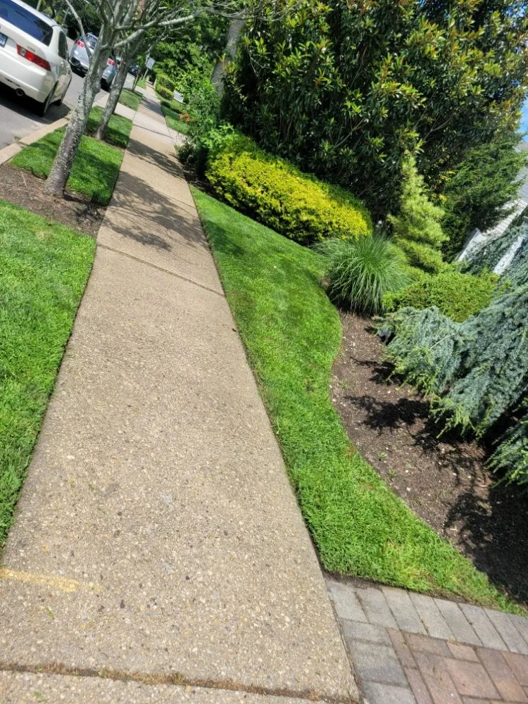 Custom yard maintenance in Wyandanch, NY - M Canales Landscaping