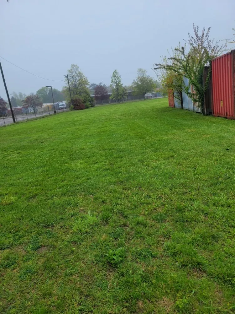 Expert lawn mowing service in Wyandanch, NY - M Canales Landscaping