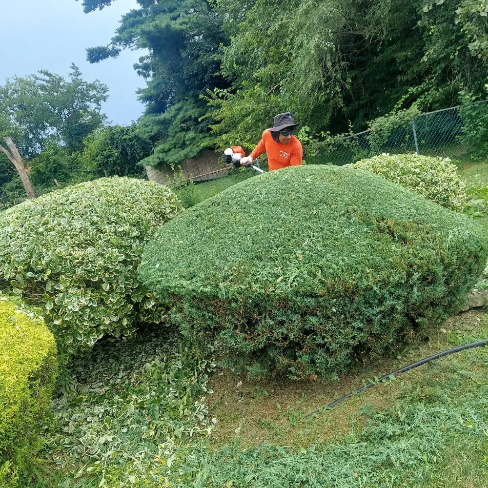 Reliable landscaping services for homes in Wyandanch, NY by M Canales Landscaping