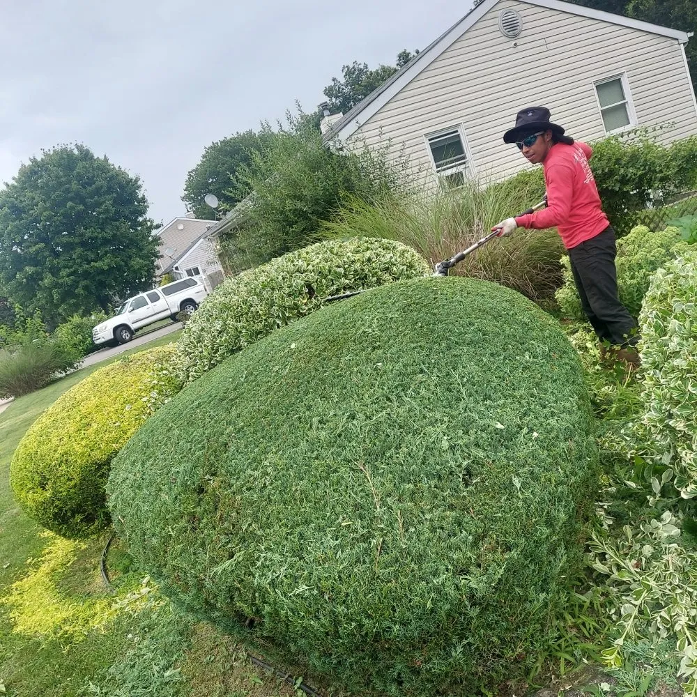 Custom landscape design in Wyandanch, NY by M Canales Landscaping