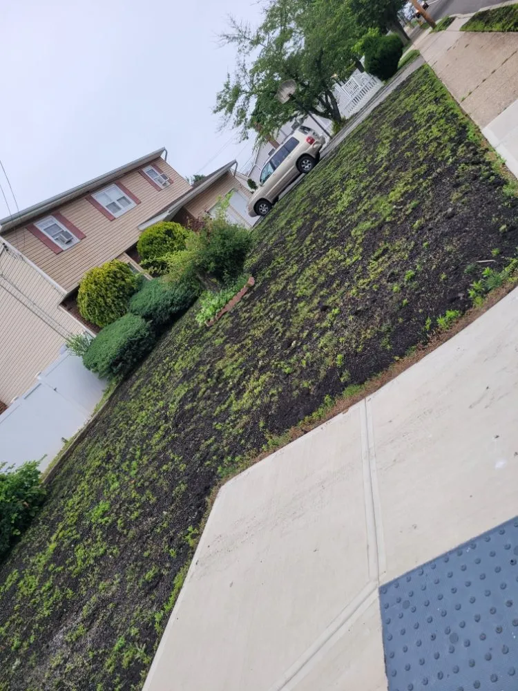 Affordable yard cleanup service for beautiful yards across Wyandanch, NY - M Canales Landscaping