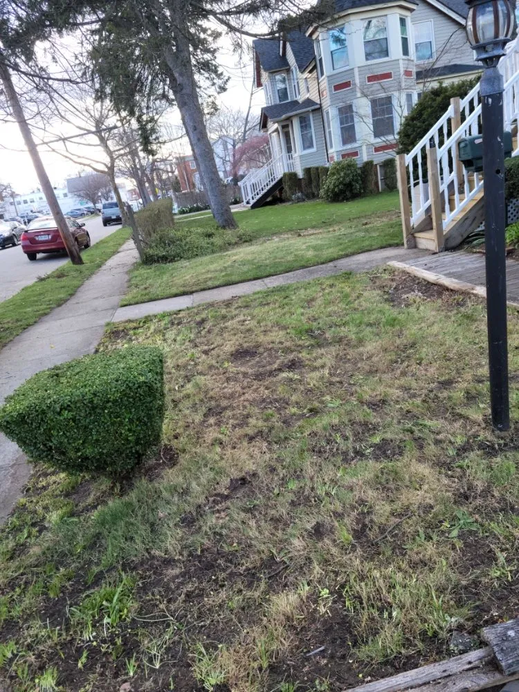 Trusted yard cleanup service experts serving Wyandanch, NY - M Canales Landscaping