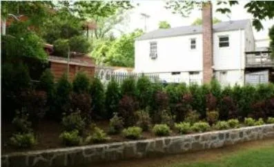 Local lawn care service in Yonkers, NY by M. Carbillano Landscaping