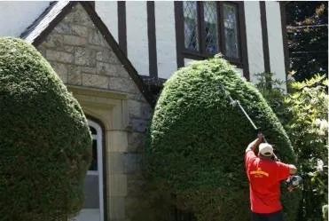 Custom landscape installation in Yonkers, NY by M. Carbillano Landscaping