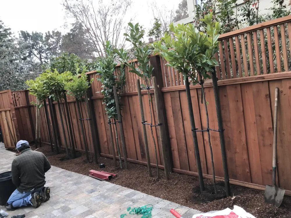 Affordable lawn mowing service in Redwood City, CA by M Cardoso Landscaping