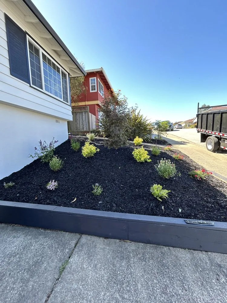Trusted landscape installation for outdoor upgrades in Redwood City, CA by M Cardoso Landscaping