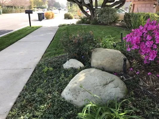 M. Carrera Gardening and Landscaping Logo