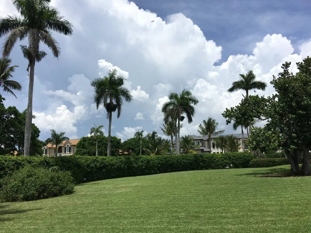 Expert yard cleanup service near you in Naples, FL by M Casey