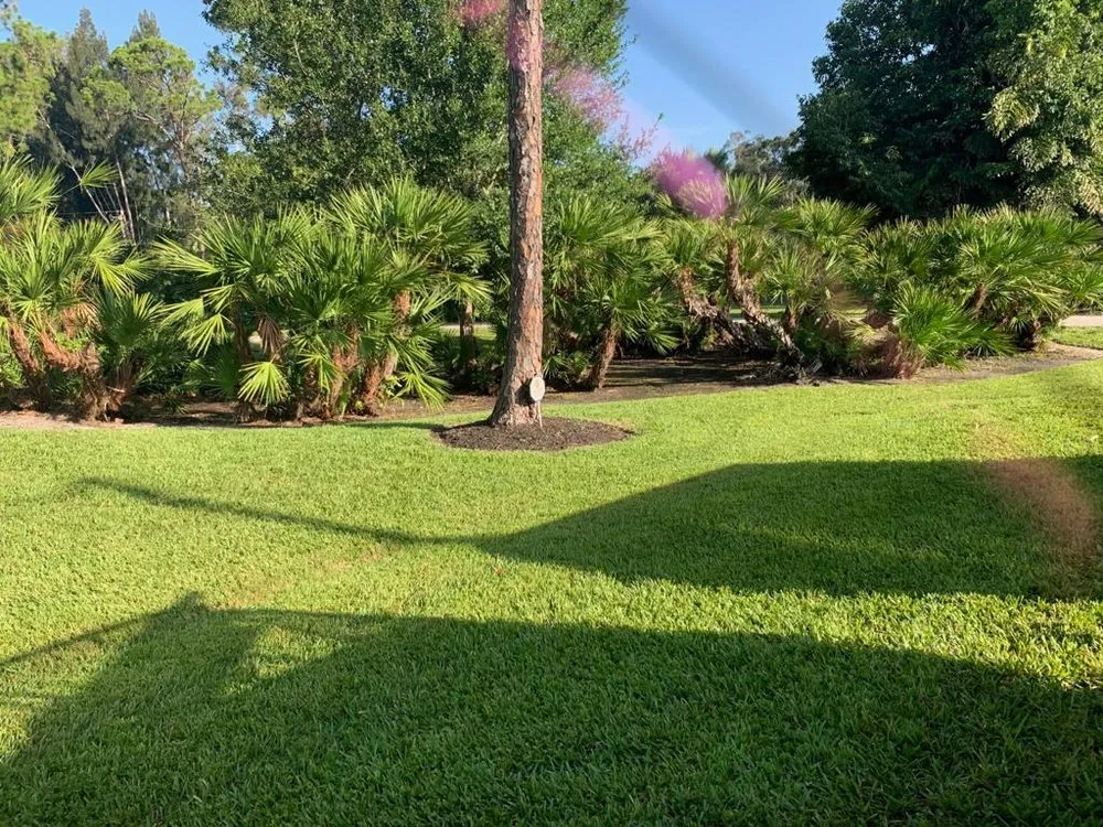 Expert outdoor landscaping experts serving Fort Myers, FL - M Castaneda Lawn Maintenance