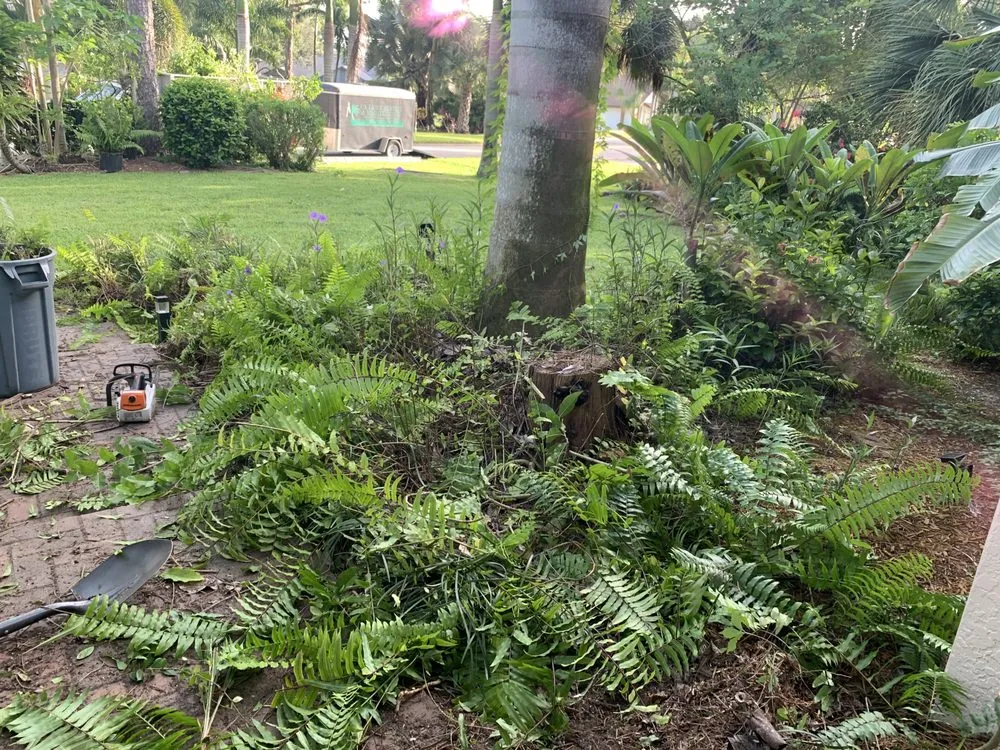 Trusted landscape installation in Fort Myers, FL by M Castaneda Lawn Maintenance