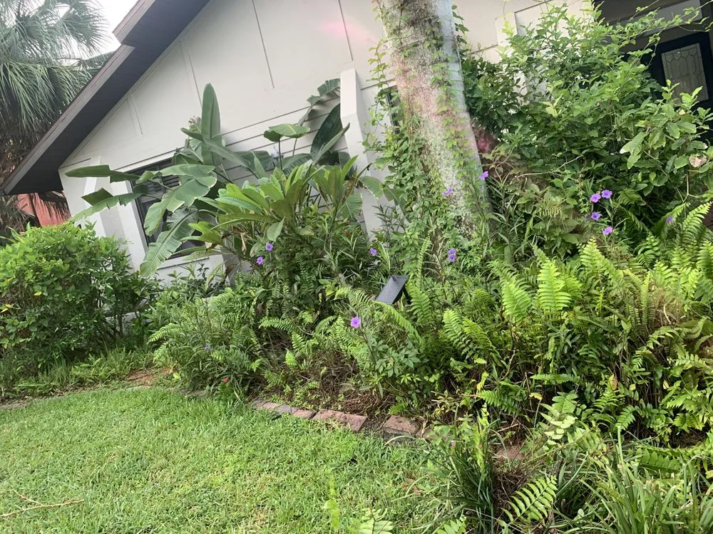 Affordable garden landscaping in Fort Myers, FL - M Castaneda Lawn Maintenance