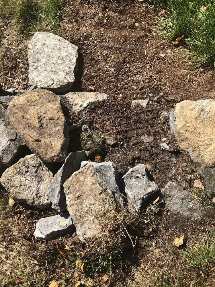 Professional garden landscaping experts serving Bellingham, MA - M Coelho Group