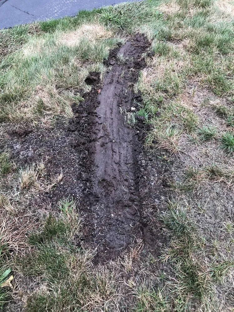 Affordable landscaping services in Bellingham, MA - M Coelho Group