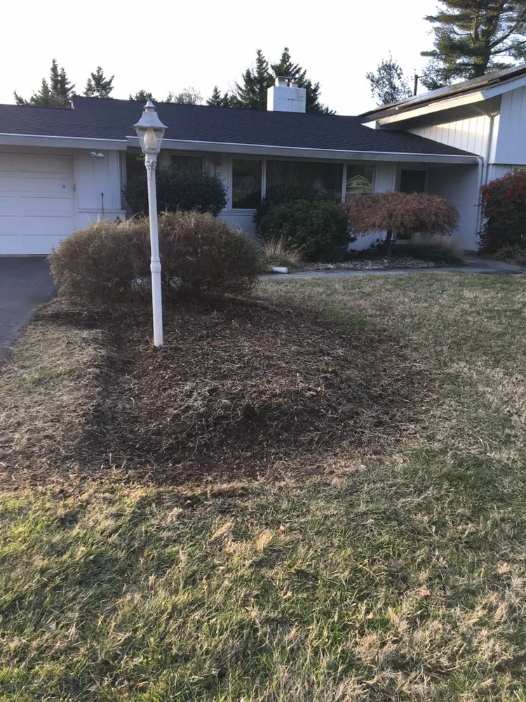 Trusted yard cleanup service near you in Hampstead, MD by M. Colin Handyman