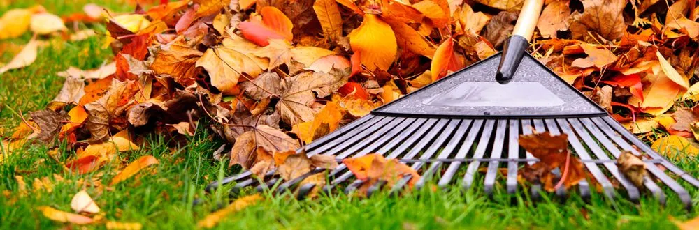 Custom lawn mowing service for year-round maintenance in Hampstead, MD by M. Colin Handyman