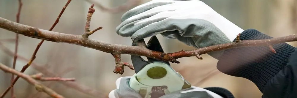 Top-rated lawn mowing service for residential properties across Hampstead, MD - M. Colin Handyman