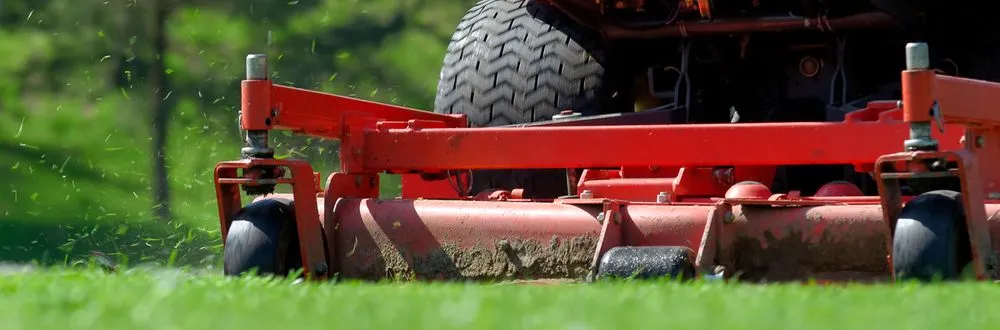 Trusted outdoor landscaping for beautiful yards in Hampstead, MD by M. Colin Handyman