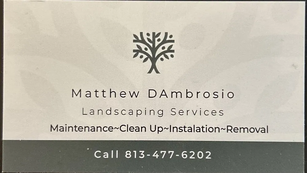 Top-rated garden landscaping experts serving Lutz, FL - M D Landscaping