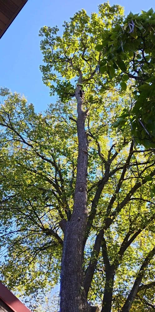 Expert landscape design in Maple Grove, MN by M D T